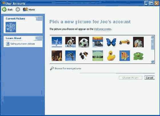       Windows XP Professional